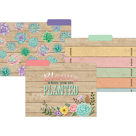 TEACHER CREATED RESOURCES Rustic Bloom File Folders, Letter Size, PK24 TCR8539